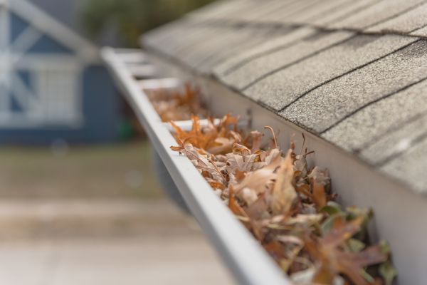 Leaf Barrier Installation in Brentwood